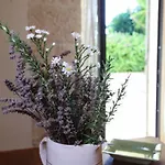Casina Fumarola Ostuni