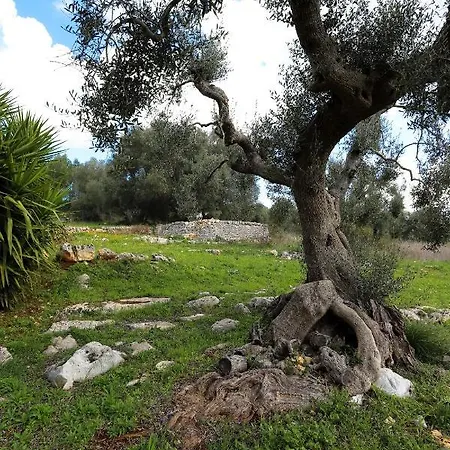 Casina Fumarola Landhaus Ostuni