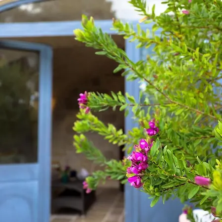 Casina Fumarola Ostuni