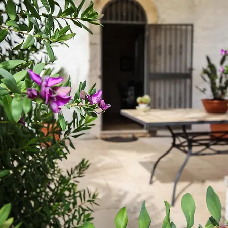 Casina Fumarola *