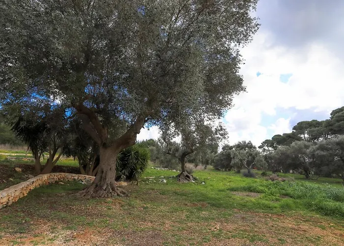 Casina Fumarola * Ostuni