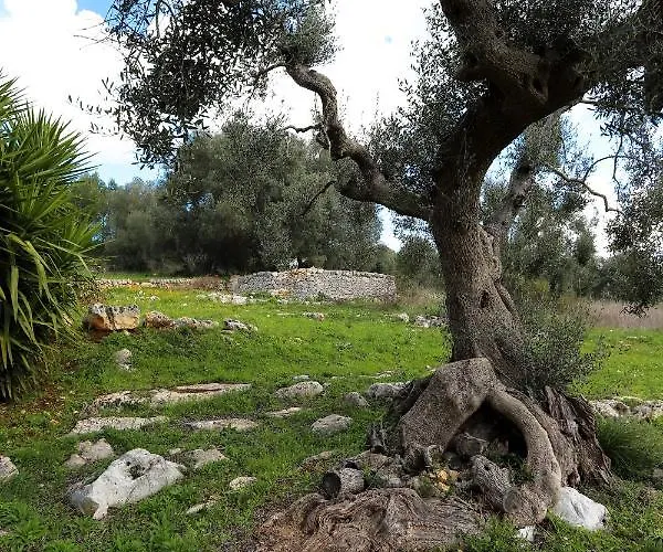 Casina Fumarola Casa de Campo Ostuni