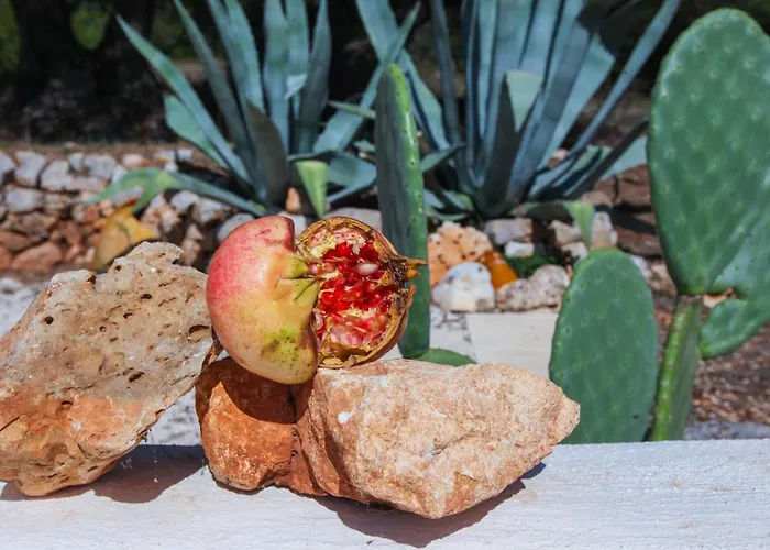 Casina Fumarola Casa di campagna *